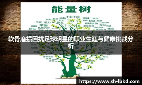 软骨磨损困扰足球明星的职业生涯与健康挑战分析